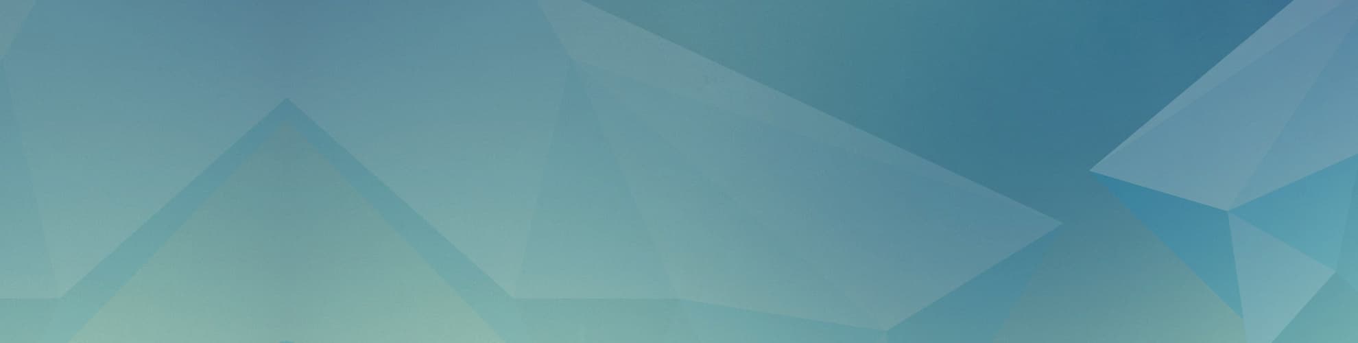 Support's banner